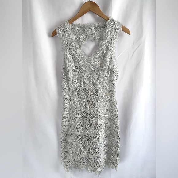 M & Guia Brazil Silver Gray Metallic Embroidered Lace with Cutout Back Dress - Picture 8 of 12